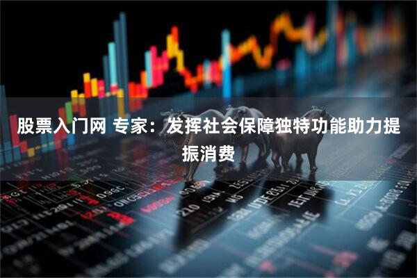 股票入门网 专家：发挥社会保障独特功能助力提振消费