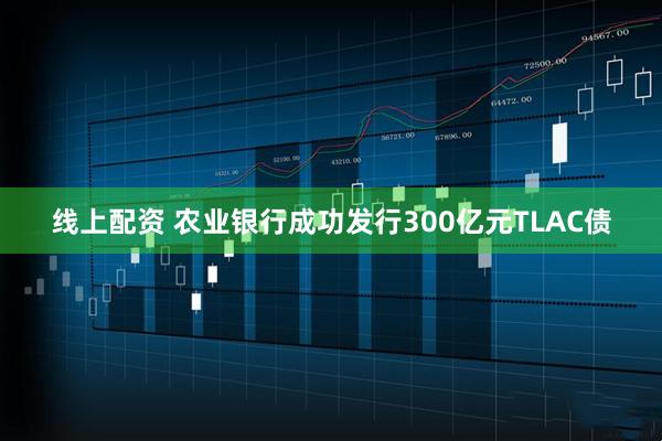 线上配资 农业银行成功发行300亿元TLAC债